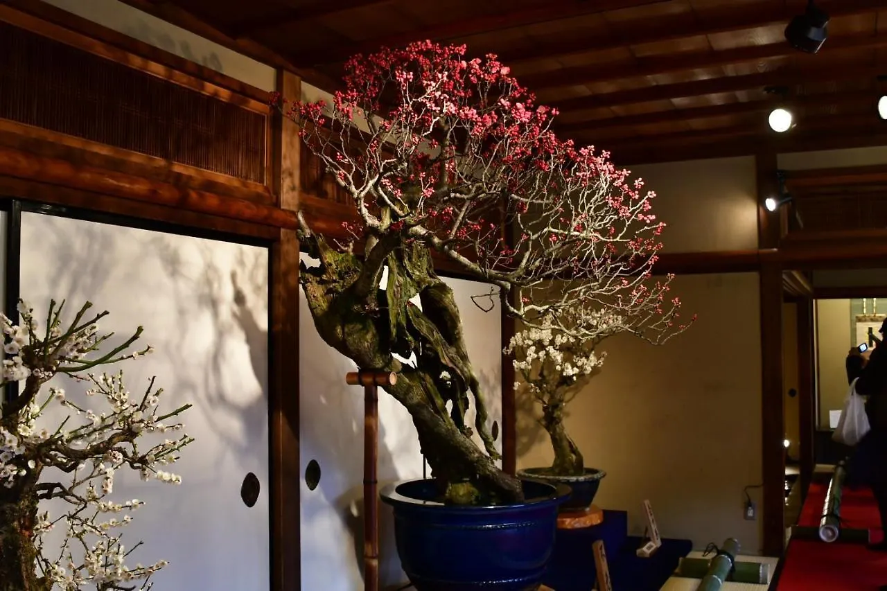 京都市Cozy House 305 Free Wifi A Rented Electric Bicycleアパートメント